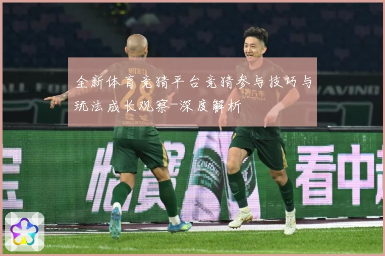 全新体育竞猜平台竞猜参与技巧与玩法成长观察-深度解析