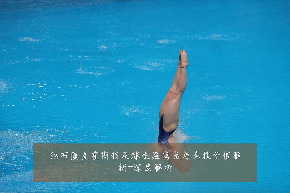范布隆克霍斯特足球生涯高光与竞技价值解析-深度解析