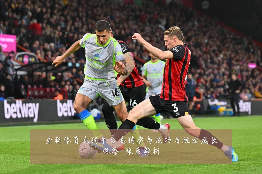 全新体育竞猜平台竞猜参与技巧与玩法成长观察-深度解析
